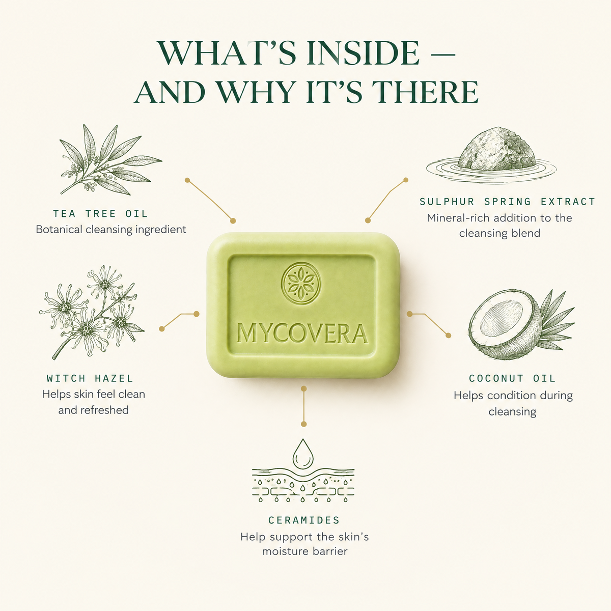 Men’s Bioshield Soap
