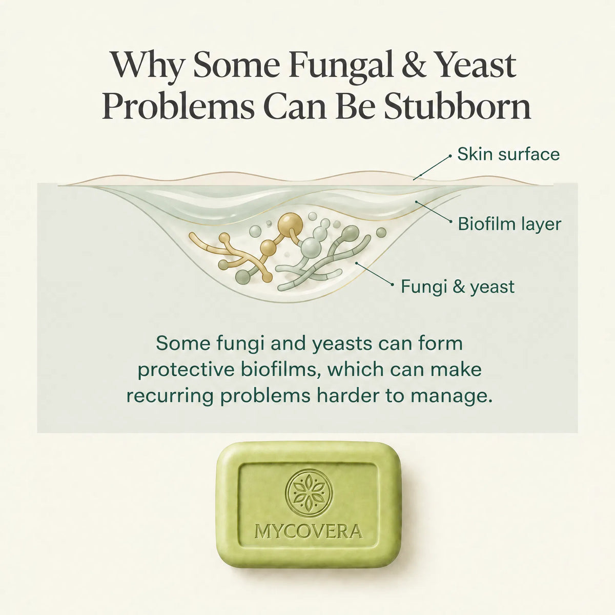 Men’s Bioshield Soap